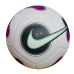 Nike Futsal Pro Ball (FJ5549-100)